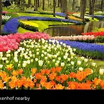 Hébergement de vacances Tiny House With Sauna & Jacuzzi Near Amsterdam