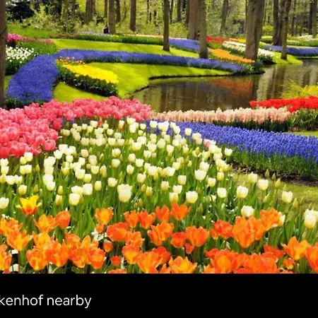 Holiday home Tiny House With Sauna & Jacuzzi Near Amsterdam