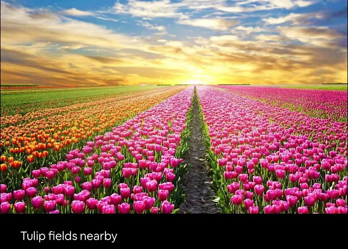 Tiny House With Sauna & Jacuzzi Near Amsterdam *