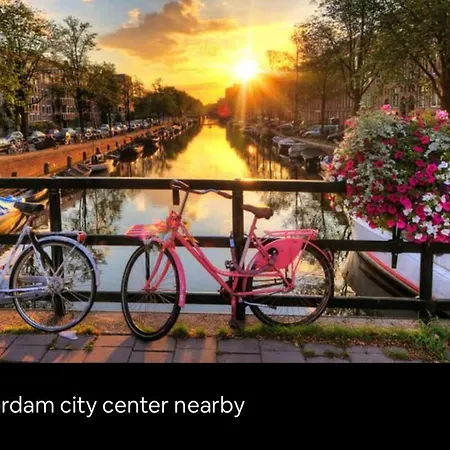 Semesterbostad Tiny House With Sauna & Jacuzzi Near Amsterdam *